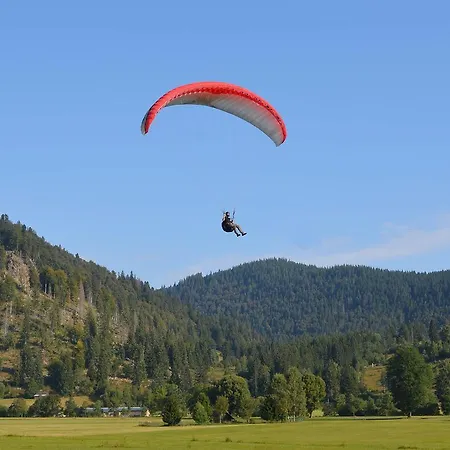 Sternenthal Apartamento Menzenschwand-Hinterdorf