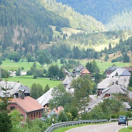 فيرينفونونغين ستيرنينتهال Menzenschwand-Hinterdorf