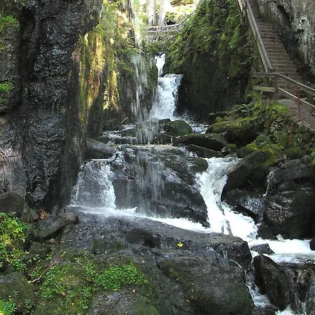 فيرينفونونغين ستيرنينتهال Menzenschwand-Hinterdorf