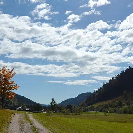 فيرينفونونغين ستيرنينتهال شقة Menzenschwand-Hinterdorf
