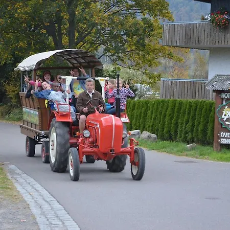 Apartamento Sternenthal Menzenschwand-Hinterdorf