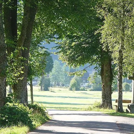 فيرينفونونغين ستيرنينتهال * Menzenschwand-Hinterdorf