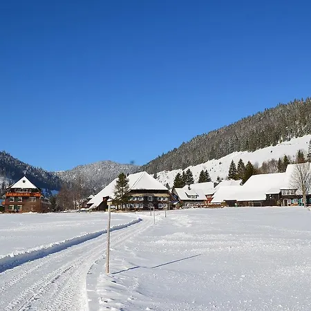 فيرينفونونغين ستيرنينتهال * Menzenschwand-Hinterdorf