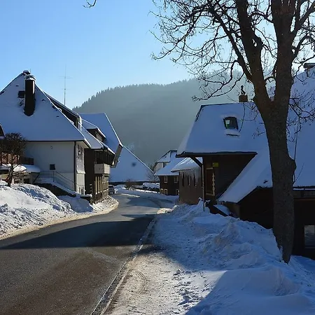 فيرينفونونغين ستيرنينتهال شقة *
