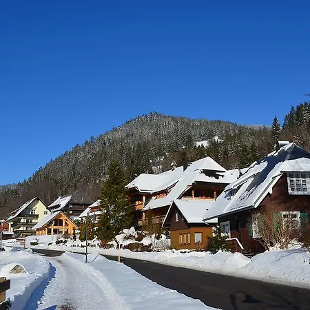 شقة فيرينفونونغين ستيرنينتهال Menzenschwand-Hinterdorf