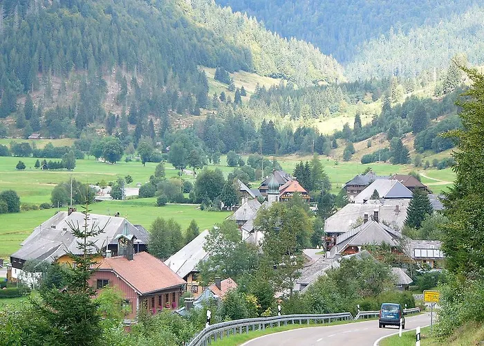 Sternenthal Menzenschwand-Hinterdorf