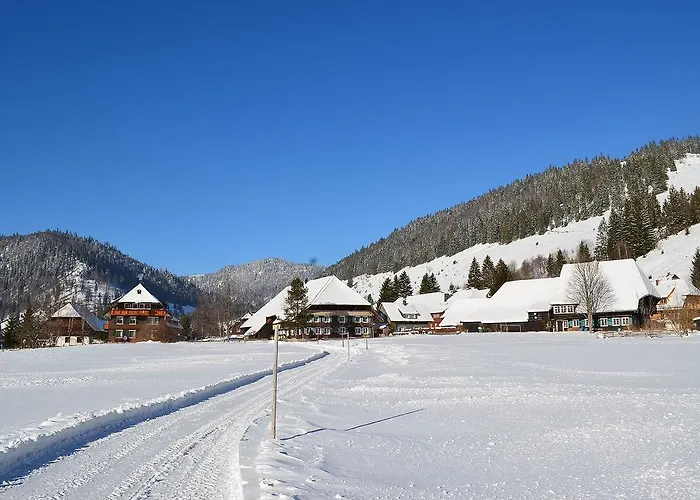 Sternenthal * Menzenschwand-Hinterdorf